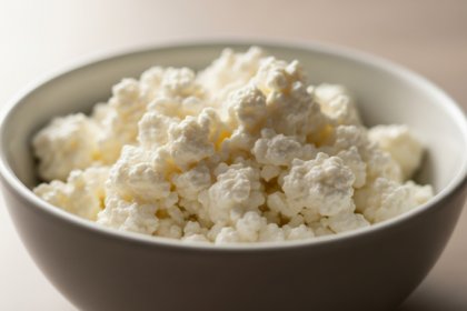 Cottage Cheese for Dogs